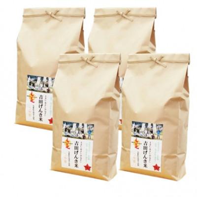 ふるさと納税 雲南市 島根県雲南市産　吉田げんき米　つや姫　20kg(5kg×4) |  | 03