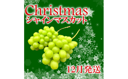 【2026年発送★先行予約】冬季限定！！ 山梨県笛吹市産 クリスマスシャインマスカット 約1.0kg 2～3房 105-020-26y