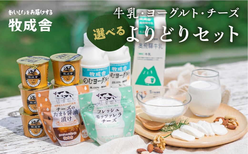 
            ＜牧成舎＞選べる 乳製品福袋 牛乳・ヨーグルト・チーズ　飛騨産生乳で作るこだわりのセット 乳飲料 乳製品 ヨーグルト チーズ モッツァレラチーズ 飲むヨーグルト 牧成舎  アイス ピザ プリン スイーツ 惣菜 飛騨市 
          