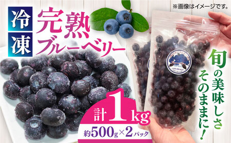 完熟 冷凍ブルーベリー 計1kg ブルーベリー ブルーベリー ブルーベリー ブルーベリー ブルーベリー [YDI001]