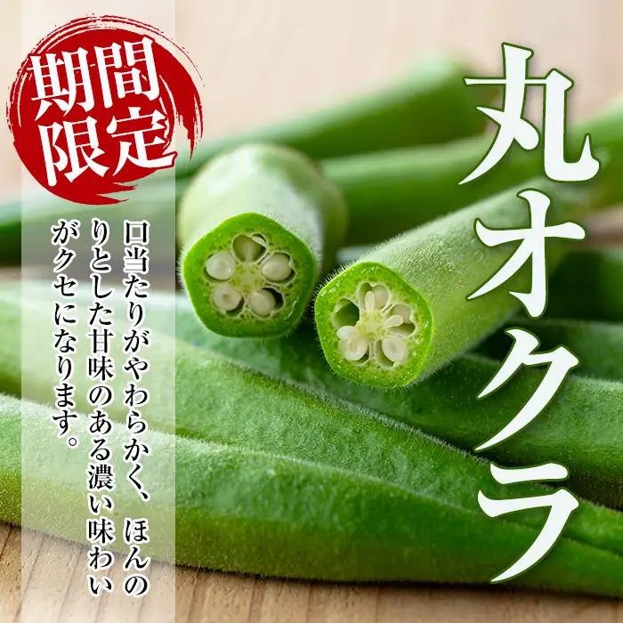 いずみ産 オクラ 2種 食べ比べ 600g 【イーサイドライン】 i1217-A