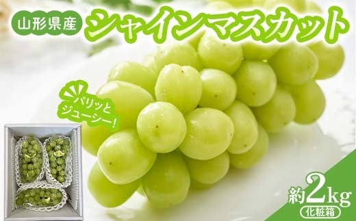 山形県産 シャインマスカット約2kg 化粧箱 秀品 (3～4房入) 【先行受付2026年9月発送】 FSY-2608