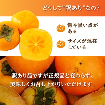 国城観光農園のたねなし柿(家庭用・訳あり)約7.5kg