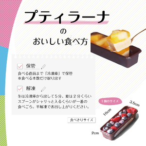カタラーナ フルーツ プリン 詰め合わせ ギフト 6個 入 | 長野県 飯田市
