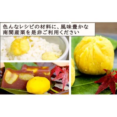 ふるさと納税 南関町 熊本県 南関町産 冷凍 むき栗 600g (300g×2袋) |  | 03