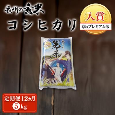ふるさと納税 福知山市 【毎月定期便】衣川の男米コシヒカリ 玄米 5kg【京都府福知山市】全12回