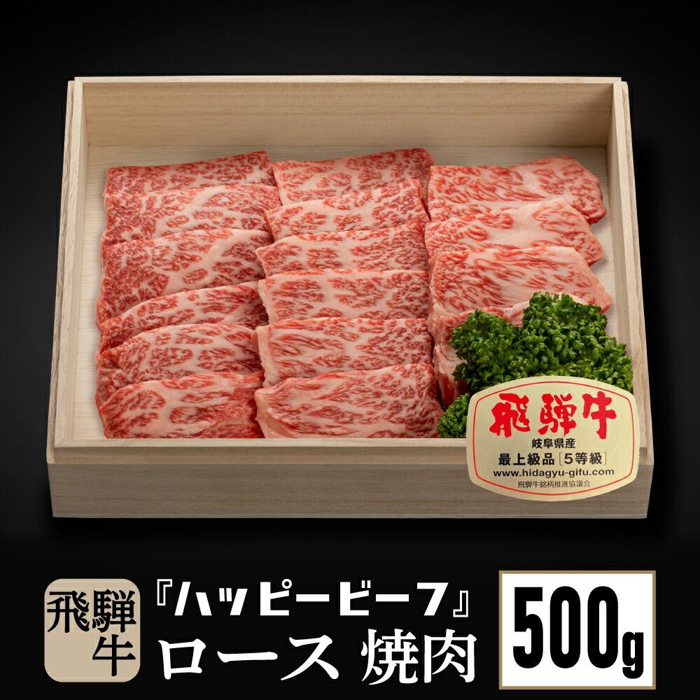 【ふるさと納税】飛騨牛 A5等級 ロース 500g 焼肉 飛騨牛 ブランド牛 A5ランク ハッピープラス 飛騨高山 JQ017