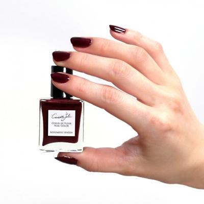 ふるさと納税 横浜市 Causette.JoliCoeurdeFleurNailColorKOSUMOSU SENSEN |  | 01