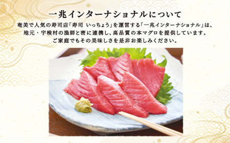 宇検村産 本マグロ簡単お刺身 セット 冷凍（柵 中トロ・赤身）