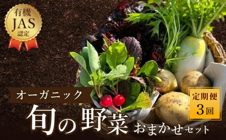 野菜 定期便 3回 オーガニック 野菜詰め合わせ セット