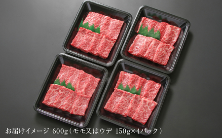 飛騨牛 赤身焼肉 600g（150g×4パック） 冷凍真空パック | 肉 お肉 焼肉 焼き肉 やきにく 黒毛和牛 和牛 個包装 小分け 人気 おすすめ 牛肉 ギフト お取り寄せ 7日以内お届け[MZ0