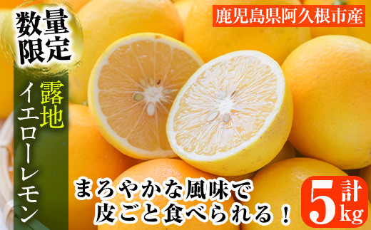 
                  ＜先行予約受付中！2026年12月中旬以降順次発送予定＞数量限定！露地マイヤーイエローレモン(5kg) 国産 檸檬 イエローレモン オレンジ 果実 果物 フルーツ 柑橘【桐野柑橘株式会社】akn070-11
                