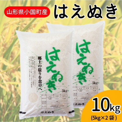 【ふるさと納税】【令和7年産米】山形県小国町産精米はえぬき10kg(5kg×2袋)　小国米穀商業協同組合【1496055】