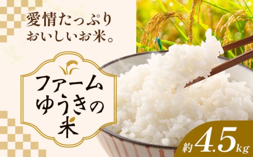 米 ファームゆうきの米 約4.5kg 《11月上旬-1月中旬頃出荷》ファームゆうき 和歌山県 岩出市 送料無料 こめ 先行予約