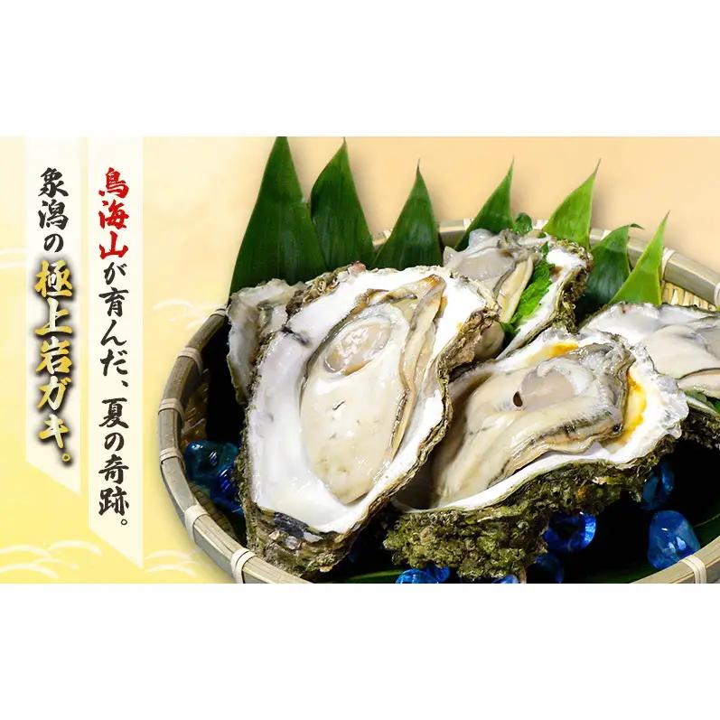 【先行予約 7月上旬～下旬発送予定】象潟産 天然岩牡蠣 13～15個 ナイフ付【牡蠣 夏牡蠣 かき 象潟 生食可 魚介類 海鮮　海産物 海の幸】　秋田商店