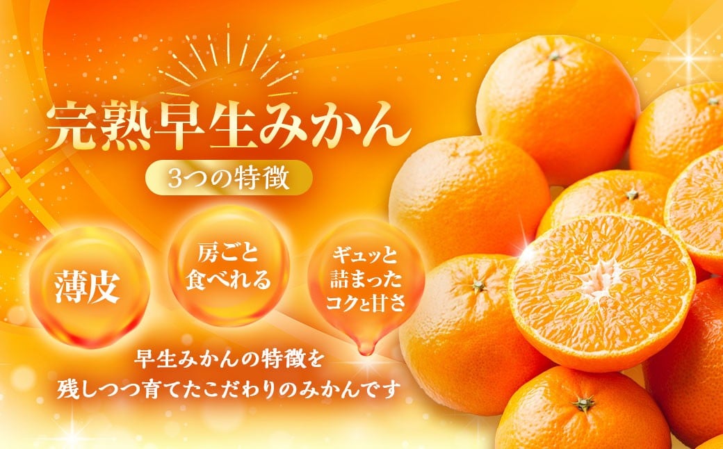 完熟 早生みかん 約5kg箱 柑橘 ミカン