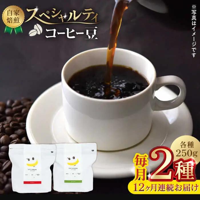 コーヒー[豆]12回定期 自家焙煎スペシャルティコーヒー豆(250g×2種)約40杯分ZCJ020