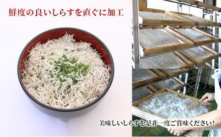 用宗港直送釜揚げしらす（850g×2箱） シラス 釜揚 釜揚げ 新鮮 冷蔵