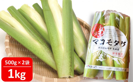【先行予約・数量限定】ヤタらうんめぇ マコモタケ 1kg | マコモダケ 希少野菜 柏崎地場特産品 水田環境鑑定士在籍[ZA043]