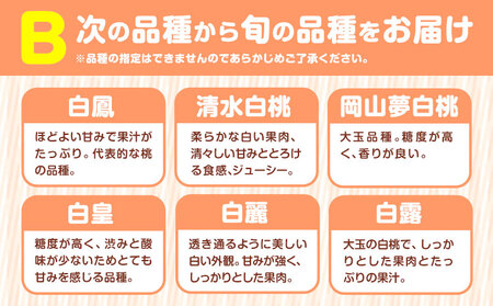 小寺さんの旬の白桃 2kg 6～8玉 小寺壽夫 《7月中旬-8月下旬頃出荷》 岡山県 笠岡市 岡山県産 モモ 果物 フルーツ もも 桃 白桃 白鳳 清水白桃 岡山夢白桃 白麗 白露 白皇 st-p