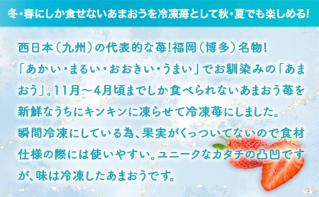 福岡産冷凍あまおう500g×3袋 AX029