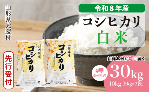 ＜令和8年産米先行受付＞ 令和9年5月下旬より発送  こしひかり【白米】30kg定期便 (10kg×3回） 山形県大蔵村