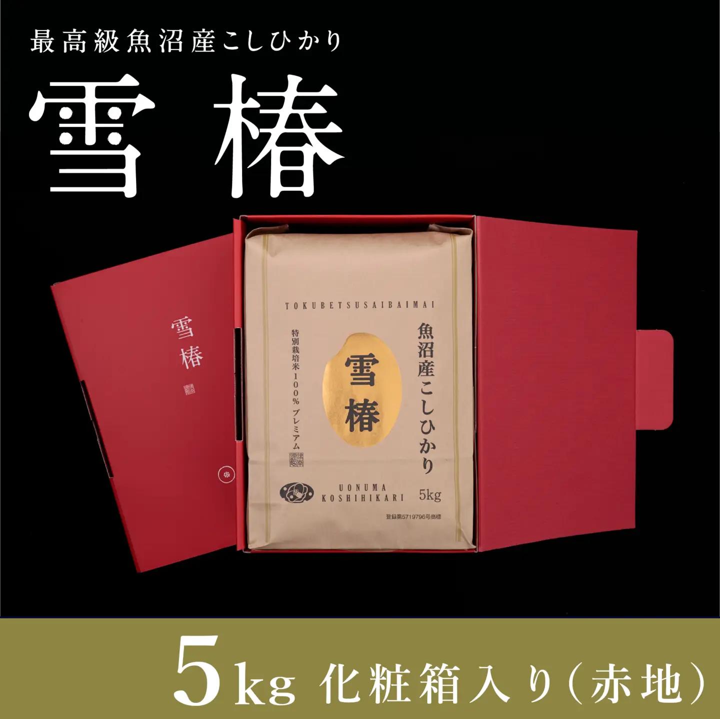 魚沼産コシヒカリ 雪椿  5kg×1袋 特別栽培米 化粧箱入り  | 魚沼 津南町 令和7年産