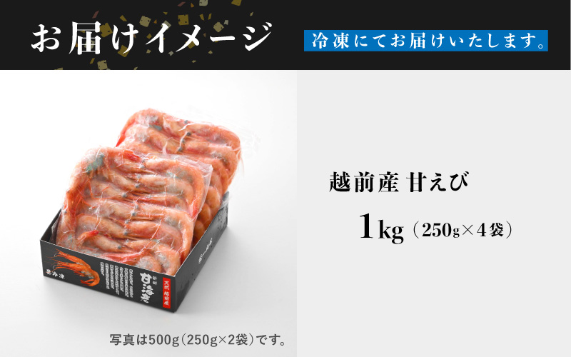 【選べる容量！】【小分け】越前産冷凍甘えび大サイズ約250g × 4パック 合計約1.0kg 1.0kg（約250g × 4パック）