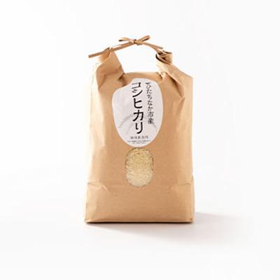 ふるさと納税 ひたちなか市 ひたちなか市のお米コシヒカリ5kg |  | 01