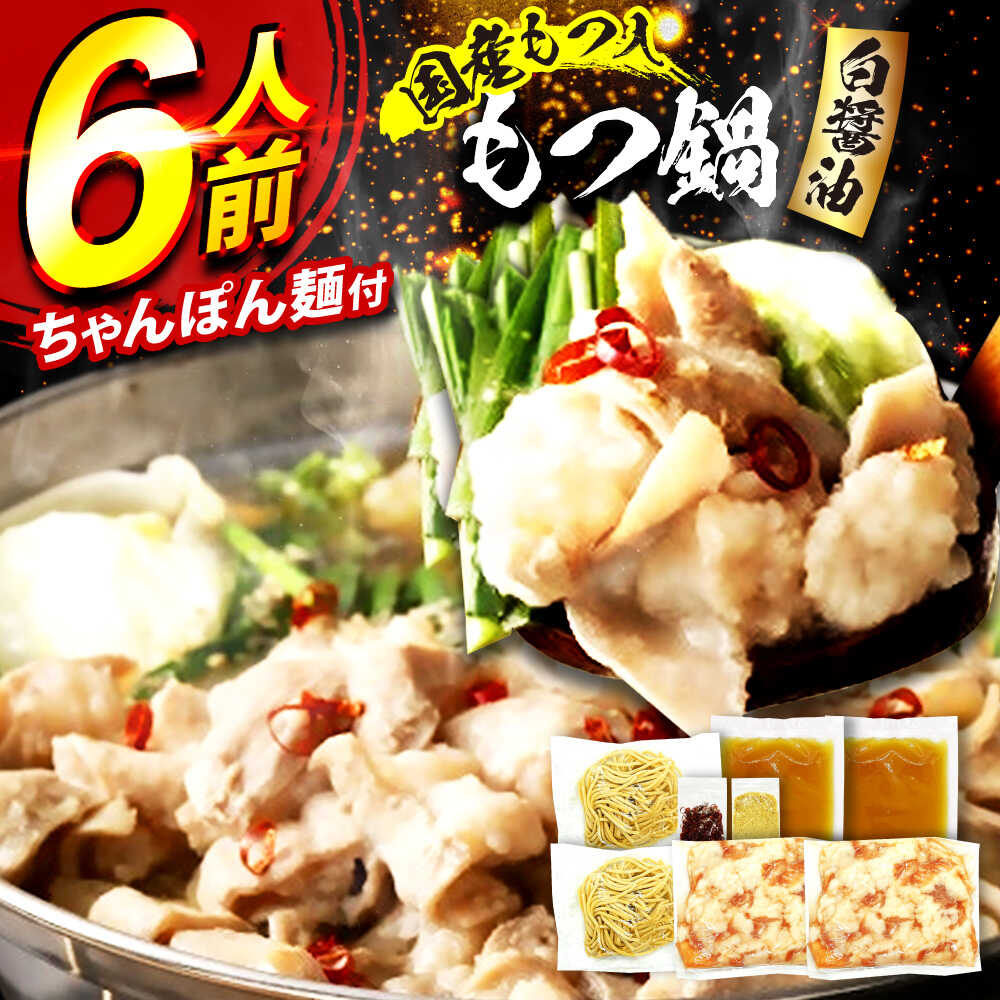 【ふるさと納税】国産もつ入りミックスもつ鍋（白醤油）6人前セット 広川町 / 株式会社POWER EAST CONNECTION[AFAZ049]
