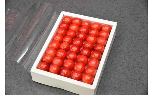 08-10-031　さくらんぼ(紅秀峰) 特秀 3L 300g化粧箱入り
