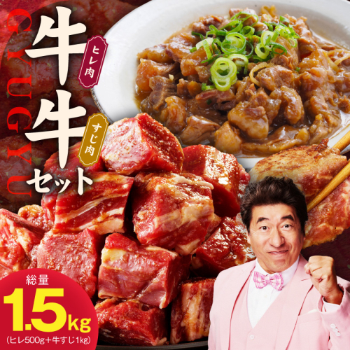 【氷温熟成×特製ダレ】牛ヒレ 500g＆牛すじ肉 1kg 総量1.5kg【味付き 訳あり サイズ不揃い 小分け 冷凍 SDGs フードロス カレー 煮込みに】 mrz0379