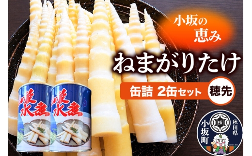 小坂の恵み ねまがりたけ 缶詰 2缶セット（穂先） [根曲り竹 根曲がり竹 ねまがりだけ ねまがりたけ チシマザサ 山の幸 お味噌汁 炊き込みご飯 天ぷら 煮物]