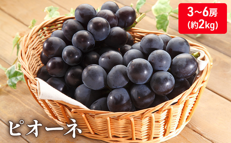 
                  [№5911-0088]大粒で濃厚な甘み「ピオーネ」　約2kg
                