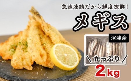 メギス 1kg 2袋 計2kg メギス