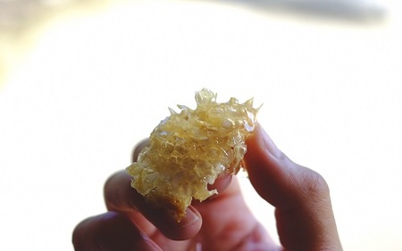 はちみつ 化粧箱入  セット 500g 250g 各1本 はちみつ はちみつ はちみつ はちみつ はちみつ