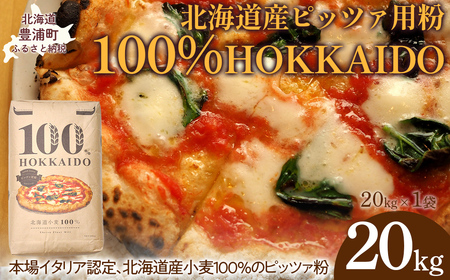 100% HOKKAIDO ピッツァ用粉 20kg TYUAI026