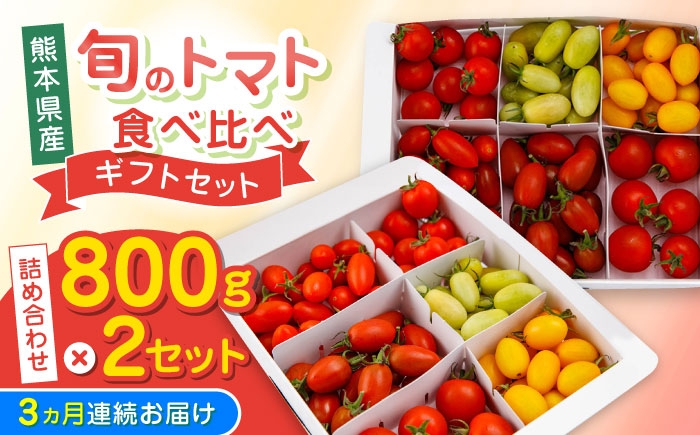 
            【全3回定期便】【期間限定】熊本県産 減農薬栽培 トマト ミディトマト 詰め合わせ 800g×2セット 計1600g 食べ比べ ギフトセット 産地直送【矢仁田農園】 [YDE019]
          