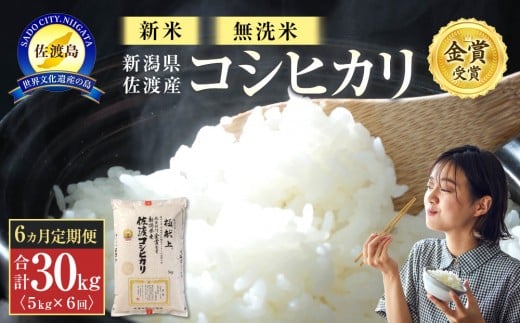 【令和7年産】無洗米5kg 新潟県佐渡産コシヒカリ5kg×6回「6カ月定期便」