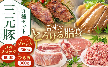 三元豚 ロース・バラブロック各600g・ひき肉300g 《喜茂別町》【平田牧場】 肉 豚肉 ブロック ステーキ ステーキ用 ロース ロースステーキ バラ とんかつ ミンチ 豚ミンチ 角煮 冷凍配送 [AJAP009]