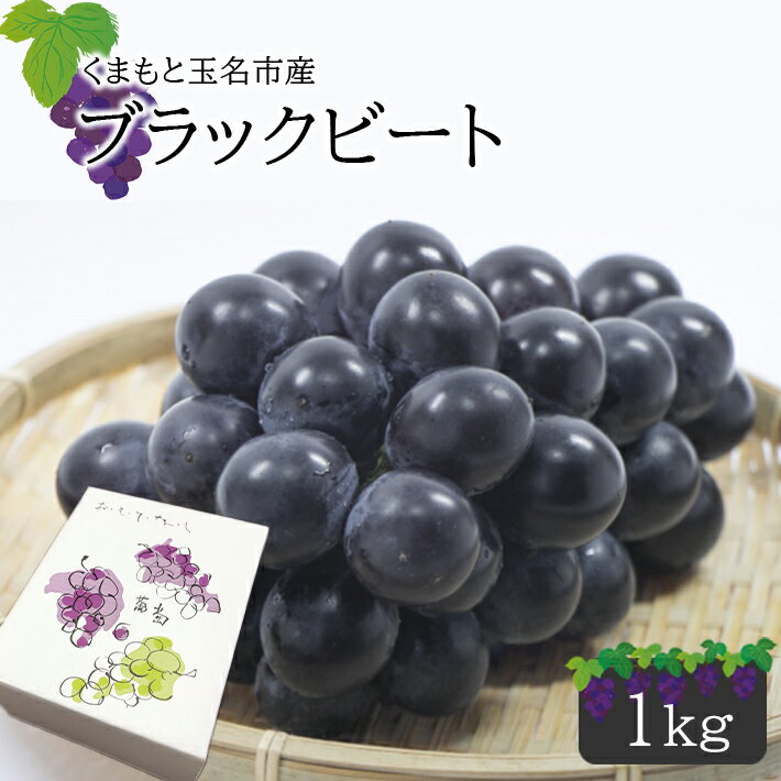 【ふるさと納税】ぶどう ブラックビート 約1kg 東ぶどう園 産地直送 生産者直送 先行予約 熊本 玉名 送料無料