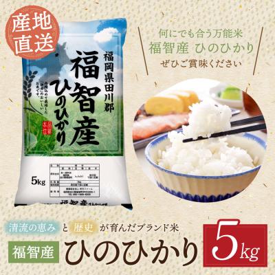 ふるさと納税 福智町 福智町産ブランド米(ヒノヒカリ5kg) |  | 01