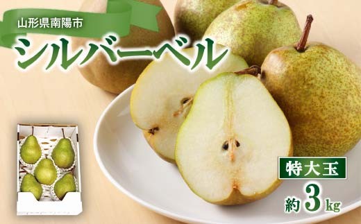 特大玉 シルバーベル 約3kg (4～5玉 特秀) 『田中農園』 西洋梨 洋なし 果物 フルーツ 山形県 南陽市  [2626]