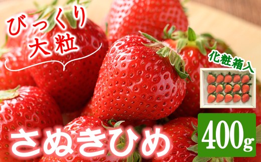 ＜先行予約！2027年2月中旬以降順次発送予定＞＜贈答用＞＜選べる容量＞香川県産 さぬきひめいちご(約400g) ギフト 【man101】【Aglio nero】