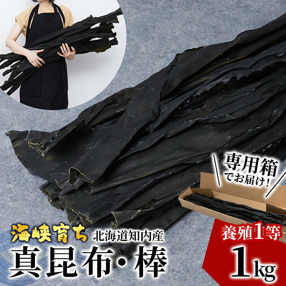 【ふるさと納税】1等級 乾燥昆布 1kg 【上磯郡漁業協同組合】 知内 出汁 だし 北海道 コンブ こんぶ乾燥昆布 昆布 海藻 海産物 乾物 知内町 ふるさと納税