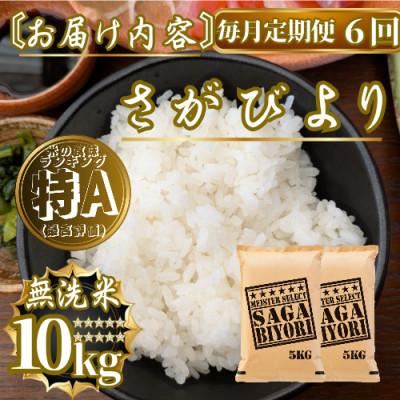 ふるさと納税 佐賀県 【毎月定期便】【無洗米】さがびより10kg(5kg×2袋)(佐賀県)【41ANAD022】全6回 |  | 03