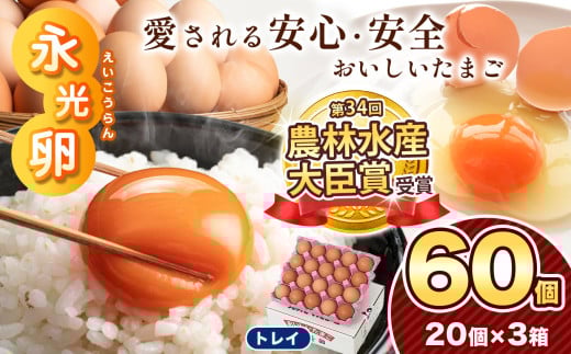 ＼ 2週間以内 に発送 ／ メディア紹介多数！ 永光卵 【 60個 】 卵 たまご トレイ | スピード発送 送料無料 えいこうらん 光永ファーム みつなが おいしい卵 卵かけごはん プリン ゆうパック 君津市 きみつ 千葉県 すぐ届く