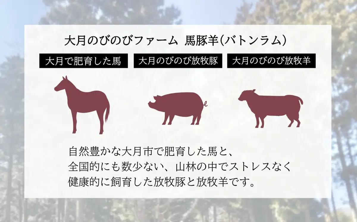 【バトンラム（馬豚羊）】 ソフトサラミソーセージ・ボロニアサラミソーセージ・ウィンナーソーセージ食べ比べセット