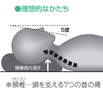 （エアウィーヴ グループ）ロフテー「快眠枕　エラスティックパイプ」サイズ３号（96-5）