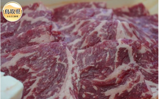 交美牛ロース焼肉用　４００ｇ【交雑種】_T2600448　